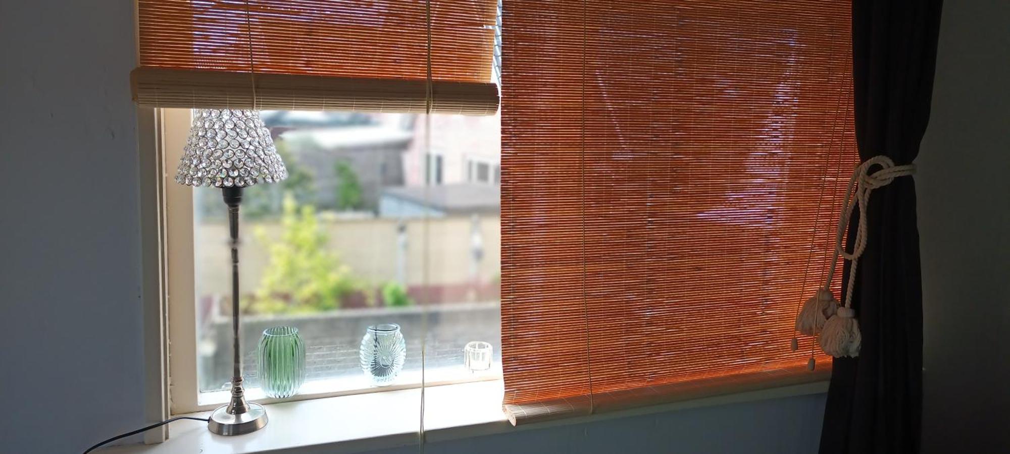 Seehorse Den Oever Dış mekan fotoğraf